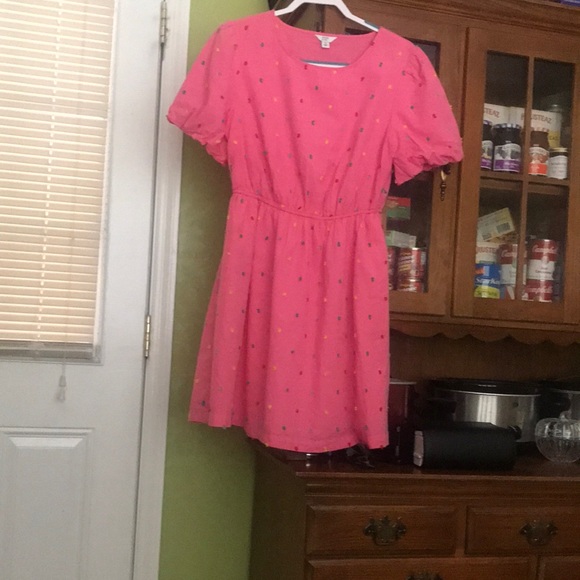 This is a knee dress I just bought from Belks - Picture 1 of 1